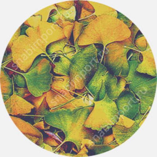 Гобо стеклянные Rosco Color Breakup 86635