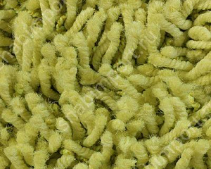 Ковровое покрытие Infloor Cotton 420