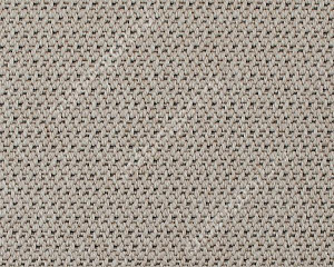 Ковровое покрытие Carpet Concept Eco Tec 0280008 40388