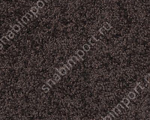 Ковровое покрытие Infloor Cashmere 570