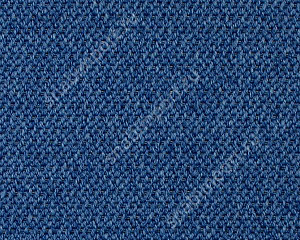 Ковровое покрытие Carpet Concept Eco Tec 0280008 20917