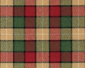 Ковровое покрытие Brintons Abbotsford Rust Kilgour - 6