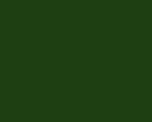 Светофильтр Rosco Supergel 126 Green Cyc Silk