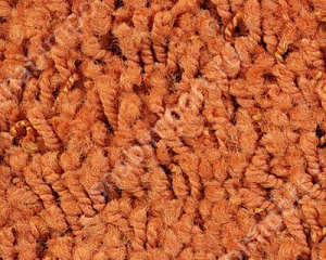 Ковровое покрытие Infloor Cotton 700