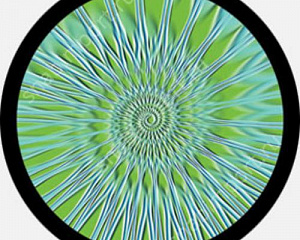 Гобо стеклянные Rosco Color Color Rotation 86653