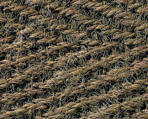 Ковровое покрытие ITC NLF Herringbone Kokos-Herringbone Natural