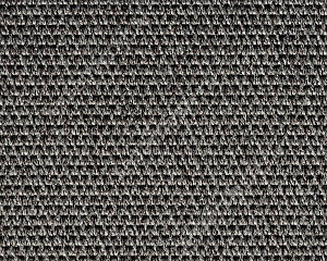 Ковровое покрытие Carpet Concept Eco Tec 0280008 52744
