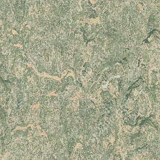 Полукоммерческий линолеум Grabo Top Extra 4213_282